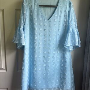 Light Blue Ruffle Sleeve Dress